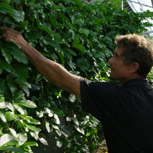 Bilder Tomorrow - Die Welt ist voller Lösungen