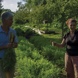 Bilder Tomorrow - Die Welt ist voller Lösungen