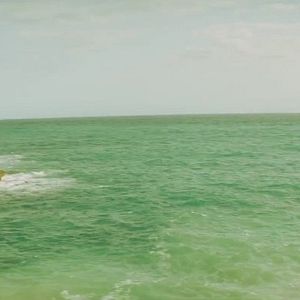 Bilder The Reflektor Tapes