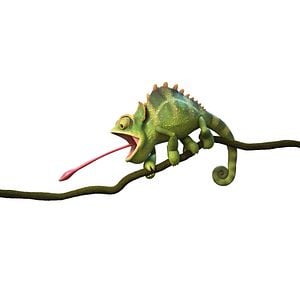 Bilder Robinson Crusoe