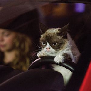 Bilder Grumpy Cat’s miesestes Weihnachtsfest ever