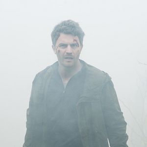 Bilder Weinberg - Im Nebel des Schweigens