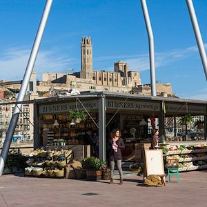 Bilder Second Origin