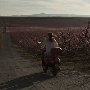 Bilder Second Origin