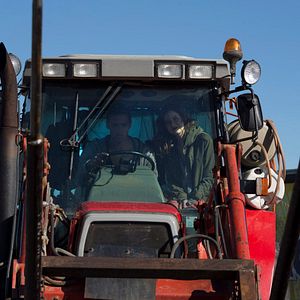 Bilder Second Origin