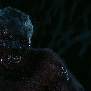 Bilder Game of Werewolves - Die Jagd beginnt!