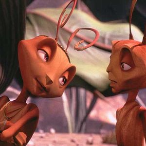 Bilder Antz – Was krabbelt da?