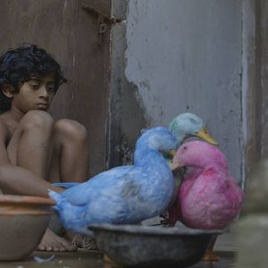 Bilder Jalaler Golpo