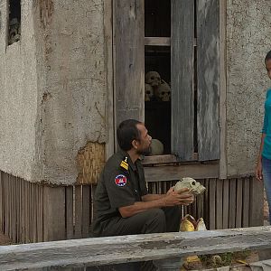 Bilder The Last Reel