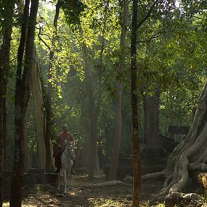 Bilder The Last Reel