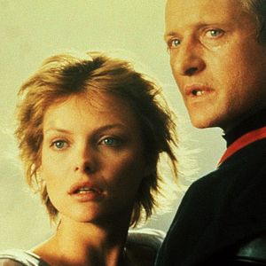 Bilder Der Tag des Falken