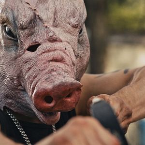 Bilder Schneeflöckchen