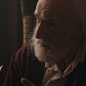 Bilder Schneeflöckchen