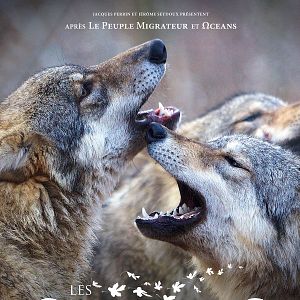 Bilder Unsere Wildnis