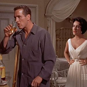 Bilder Die Katze auf dem heißen Blechdach