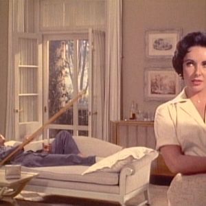 Bilder Die Katze auf dem heißen Blechdach