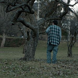 Bilder Du trägst mich