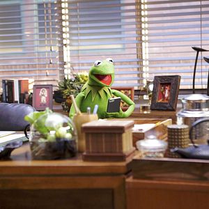 Bilder The Muppets