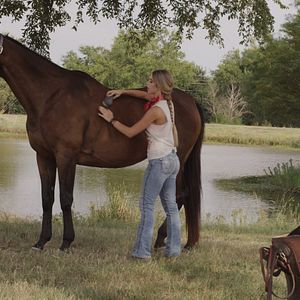 Bilder Frei wie der Wind