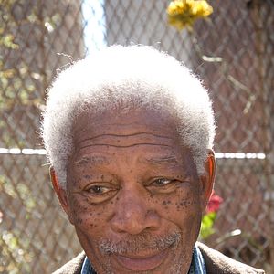 Bilder Morgan Freeman