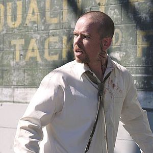 Bilder Trevor Roberts