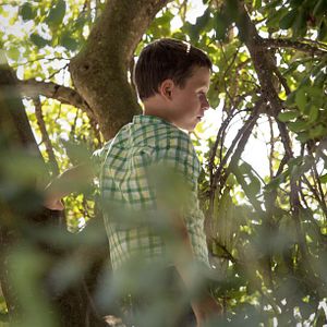 Bilder Un dia perfecte per volar