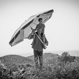 Bilder Un dia perfecte per volar