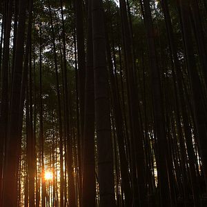 Bilder Steve Jobs - The Man In The Machine