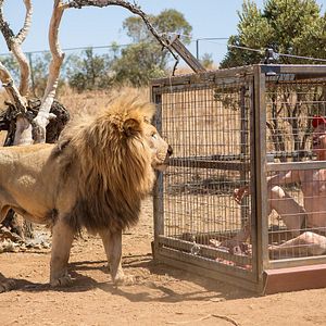 Bilder Tremors 5 - Blutlinien