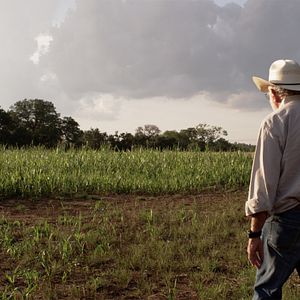 Bilder Unsere wunderbare Welt