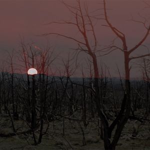 Bilder Unsere wunderbare Welt