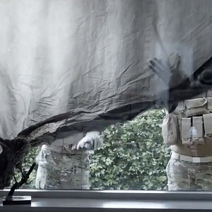 Bilder What We Become