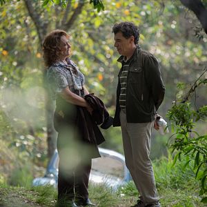 Bilder A Fera na Selva