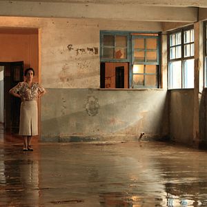 Bilder Nise - O Coração da Loucura