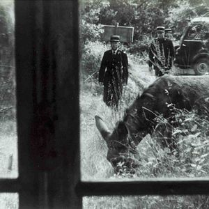 Bilder Zum Beispiel Balthasar