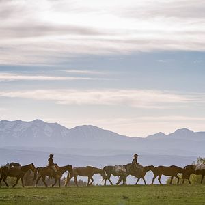 Bilder Ungezähmt - Von Mexiko bis Kanada