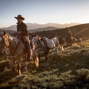 Bilder Ungezähmt - Von Mexiko bis Kanada
