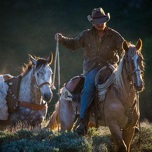 Bilder Ungezähmt - Von Mexiko bis Kanada