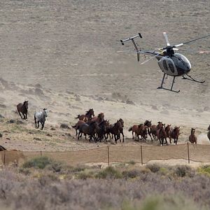 Bilder Ungezähmt - Von Mexiko bis Kanada