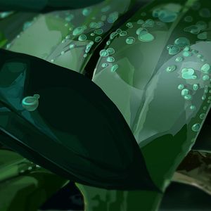 Bilder On Flying Water