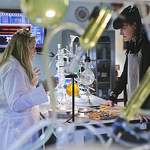 Bilder Pauley Perrette