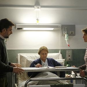 Bilder Giulia Lazzarini