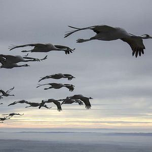 Bilder Unsere Wildnis