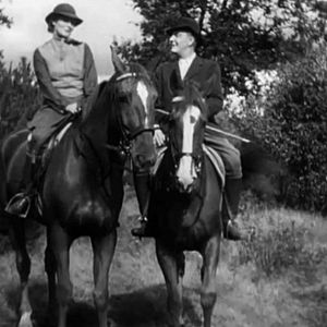 Bilder Der Hund von Baskerville