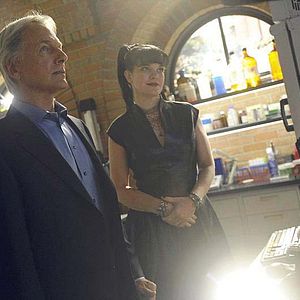 Bilder Pauley Perrette