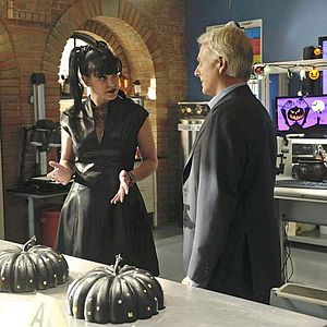 Bilder Pauley Perrette