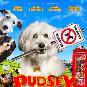 Bilder Pudsey - Ein tierisch cooler Held