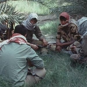 Bilder Hier und anderswo