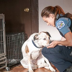 Bilder Marina Squerciati