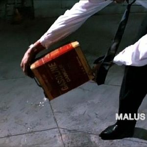 Bilder Vrai faux passeport